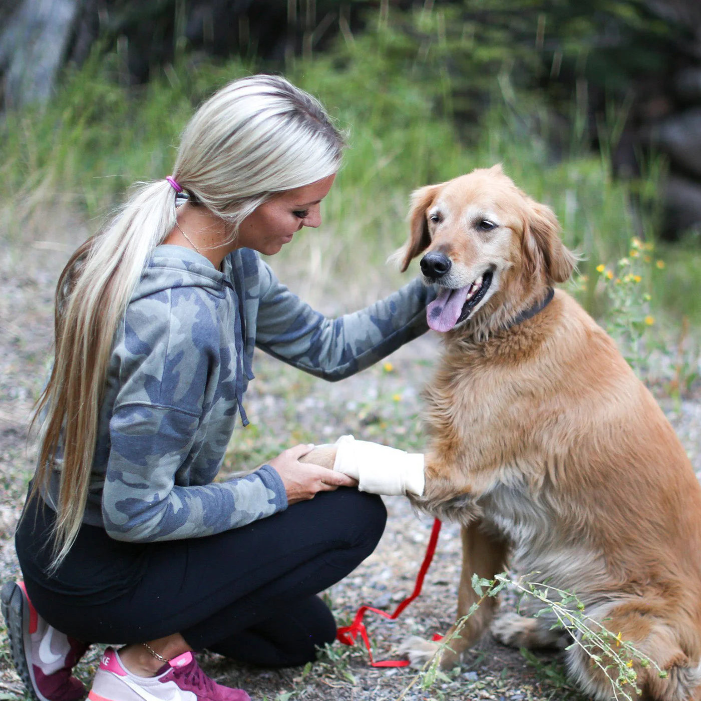 Pet Medic - Image 3
